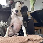 Profile Picture of James Platt (@james.platt.9210) on Facebook