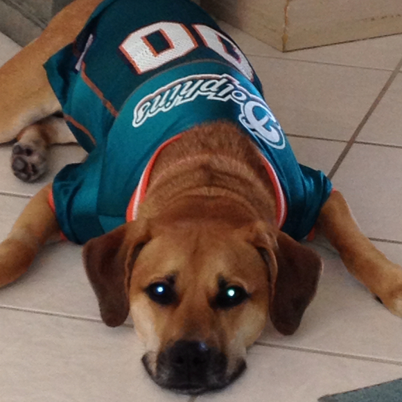 Profile Picture of Annmarie Vachala (@specialty13) on Poshmark