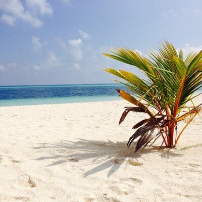Profile Picture of Karl Dupuis (@Karlkdlo) on Twitter