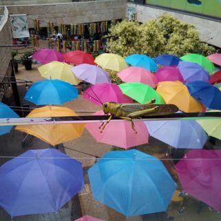 Profile Picture of John Delisle (@john.delisle.5074) on Facebook