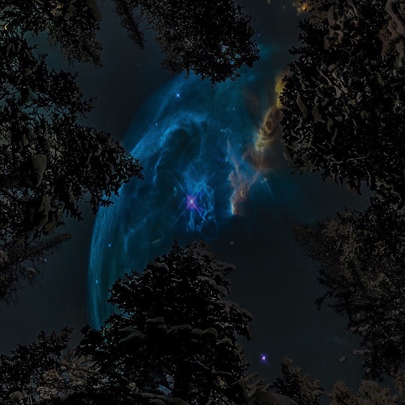 Profile Picture of Dylan Muller (@dylanmuller438) on Poshmark