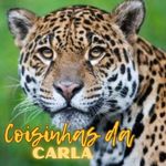 COISINHAS DA CARLA - Instagram Profile Picture of COISINHAS DA CARLA (@coisinhas.da.carla.17) on Instagram