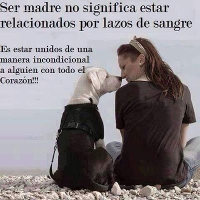 Profile Picture of Sara Collazo (@SaraCollazo6) on Twitter