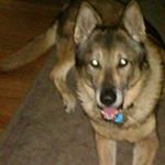 Profile Picture of Richard Blaha (@richard.blaha.92) on Instagram