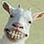 Profile Picture of Tim Hofstee (@timnl) on Flickr