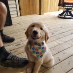 Profile Picture of Tom Stott (@Tom-Stott) on Facebook