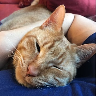 Profile Picture of Jerry (@jerry_parsley) on Twitter