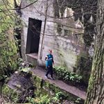 Profile Picture of Steven Woller (@stevwo11) on Instagram