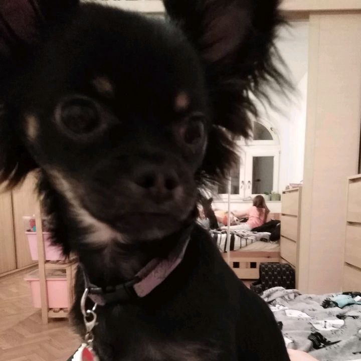 Profile Picture of Marek Mroczkowski (@marekmroczkowski0) on Tiktok