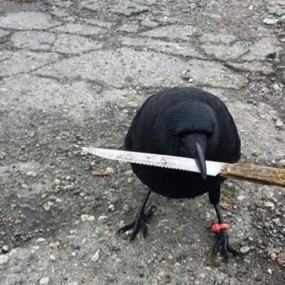 Profile Picture of Csontos Tibor (@CsontosTibor4) on Twitter
