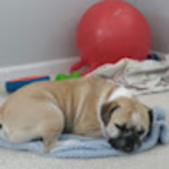 Profile Picture of Claire Salamone (@clairesalamone) on Poshmark