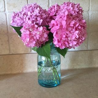 Profile Picture of Sharri Lambert (@sharri.lambert) on Facebook