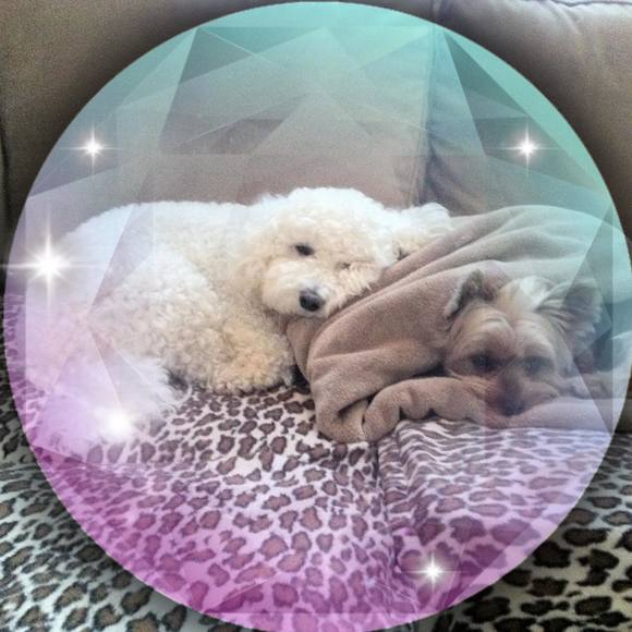 Profile Picture of Patricia Digiovine (@draikod) on Poshmark