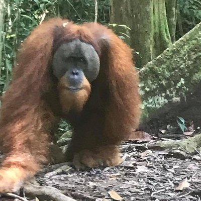 Profile Picture of David Knaggs (@david_knaggs) on Twitter