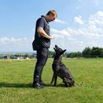 Profile Picture of Hannes Martinke (@hannesmartinke) on Instagram