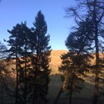 Profile Picture of Jamescloŷ (@the_real__james) on Instagram
