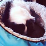 Profile Picture of Michael Warner (@michael_warner.9) on Instagram