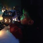 Profile Picture of anne stanford (@annestanford) on Instagram
