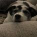 Profile Picture of Paul Laflin (@paul.laflin.5) on Facebook