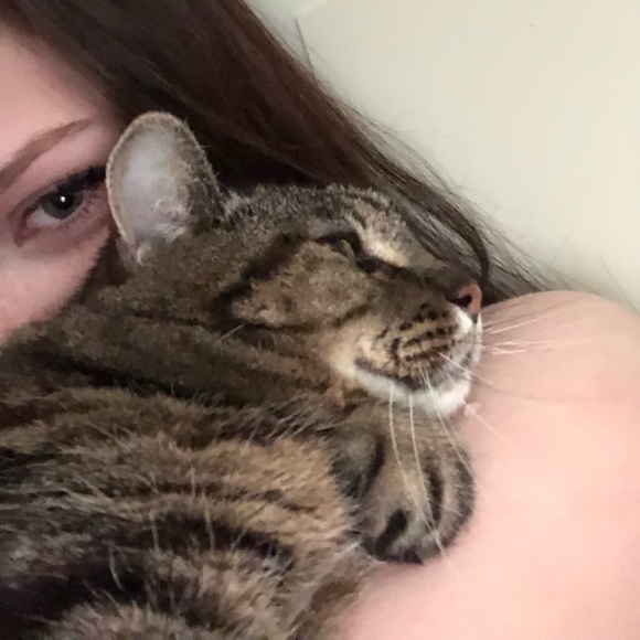 Becca Bronaugh - Poshmark Profile Picture of Becca Bronaugh (@beccabronaughh) on Poshmark