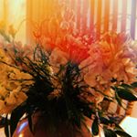 Profile Picture of Barry (@barry_moyer367) on Instagram