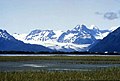 Profile Photo of Scott Glacier (Alaska)on Wikipedia