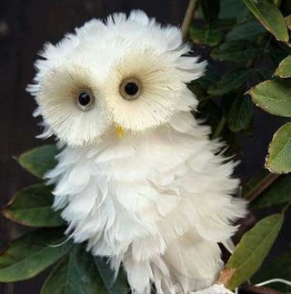 Profile Picture of Sera James (@sera.james.5070) on Facebook