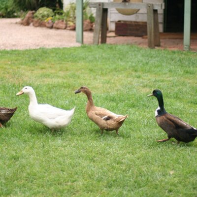 Profile Picture of Joy Tong (@joytong) on Twitter