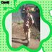 Profile Picture of David Luka (@david.luka.1217) on Facebook