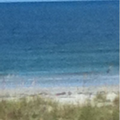 Profile Picture of Adam Burkey (@adam_burkey) on Twitter