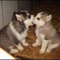 Profile Picture of Mario.perry (@Mariope19514732) on Twitter