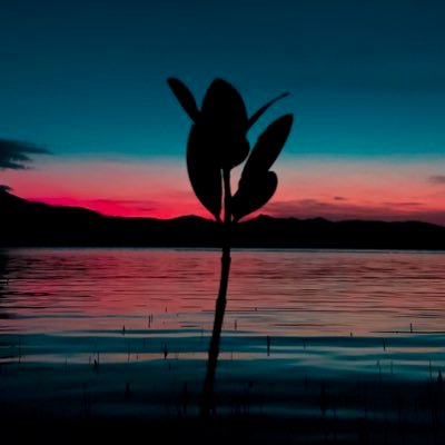 Profile Picture of SeanBelle💕 (@seaaaanbelle) on Twitter