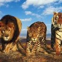 Profile Picture of Mohammed Mujeeb (@mohammed-mujeeb-40) on Quora