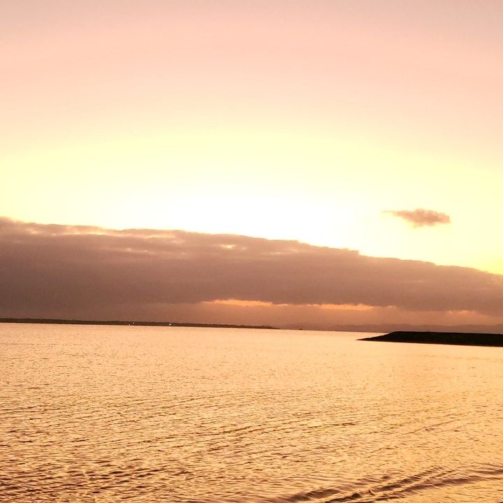 Profile Picture of ShellyStokes (@shellystokesfxljjsp) on Tiktok