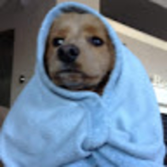 Profile Picture of Keira Krenzel (@keirakrenzel) on Poshmark