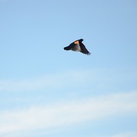 Profile Picture of Luke Merrill (@luke-merrill-2) on Quora