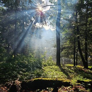 Profile Picture of John Lenz (@space_pyrate) on Instagram