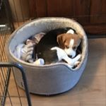 Profile Picture of Geoff Walker (@geoff.walker48) on Instagram