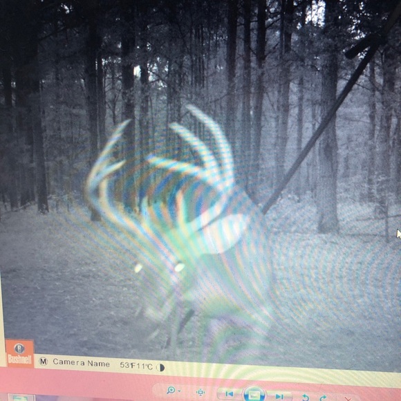 Profile Picture of Mark Knight (@hsstrutt) on Poshmark