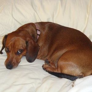 Profile Picture of Kathy Rossi (@waceka14) on Myspace