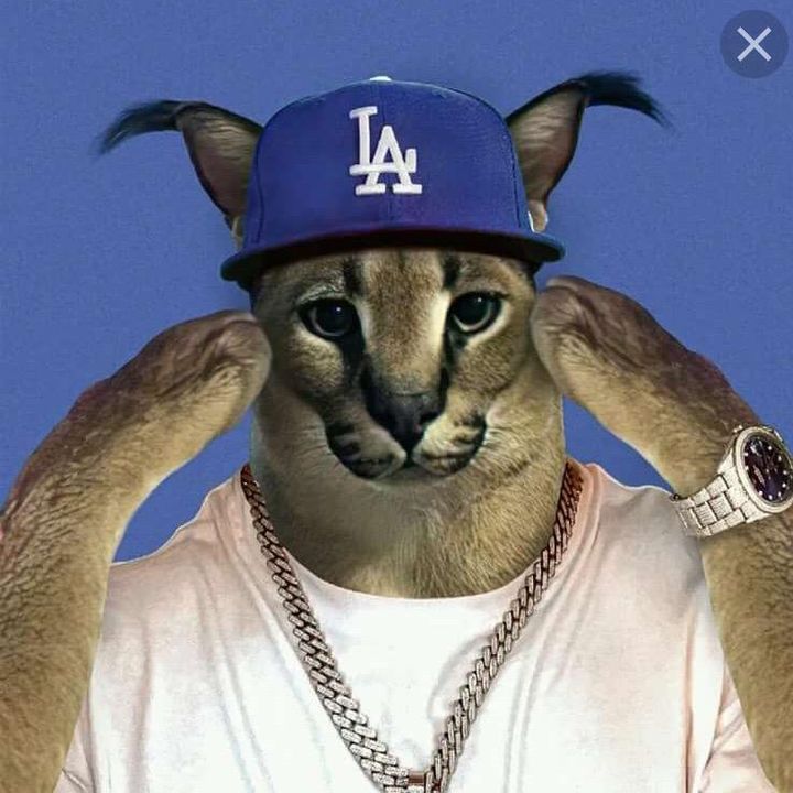 Profile Picture of Markushansky (@markushansky) on Tiktok