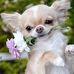 Profile Picture of Debbie McAnally (@debbie.mcanally.562) on Facebook
