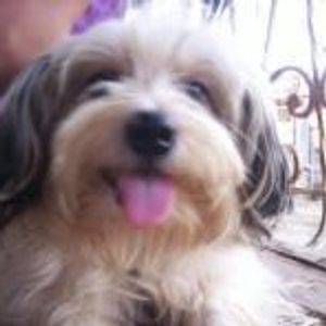 Profile Picture of Elena Abrea (@181746207) on Myspace