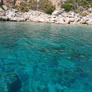 Profile Picture of Chui Jonathan (@ChuiJonathan) on Twitter