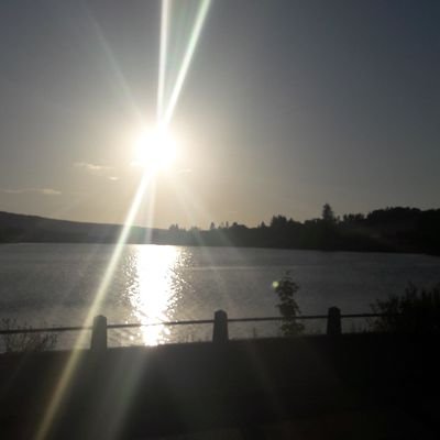 Profile Picture of Steel Meadows ( Garry Noakes) (@MrBeaujanglesSA) on Twitter