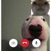 Profile Picture of hahayes (@davidmeinhart) on Tiktok