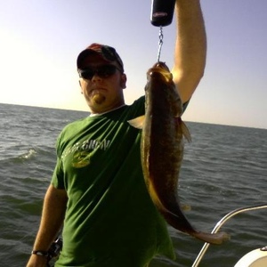 Profile Picture of Steven Barge (@stbarge) on Myspace