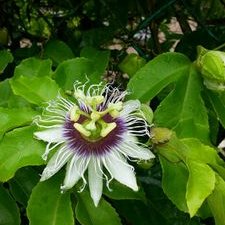 Profile Picture of Danelle Wright (@DanelleWright13) on Twitter