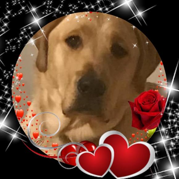 Profile Picture of Isabelle Desjardins (@isabelledesjard) on Poshmark