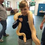 Profile Picture of ❤️Matthew❤️ (@bradley_mccarroll_) on Instagram